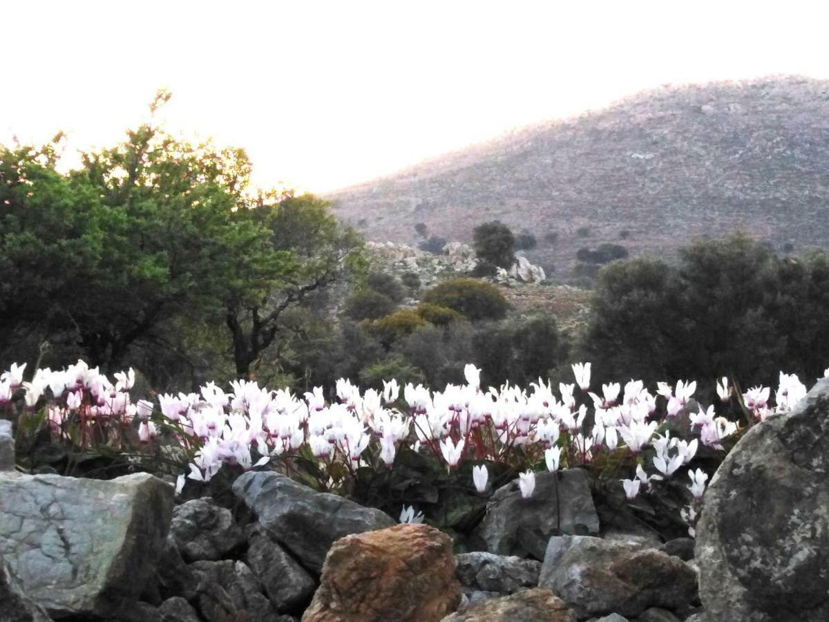 Tilos Island House Megálon Choríon Екстериор снимка